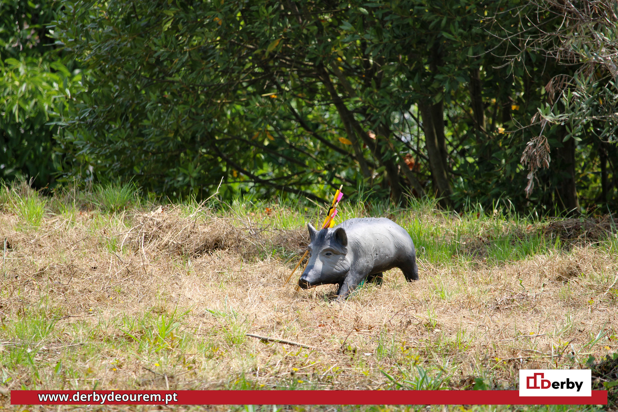 2023.06.18-tiro-com-arco-rota-dos-castelos-ourem-juventude-ouriense-16 Centena e meia de arqueiros portugueses e espanhóis de mira afinada em pleno Pinhal do Rei