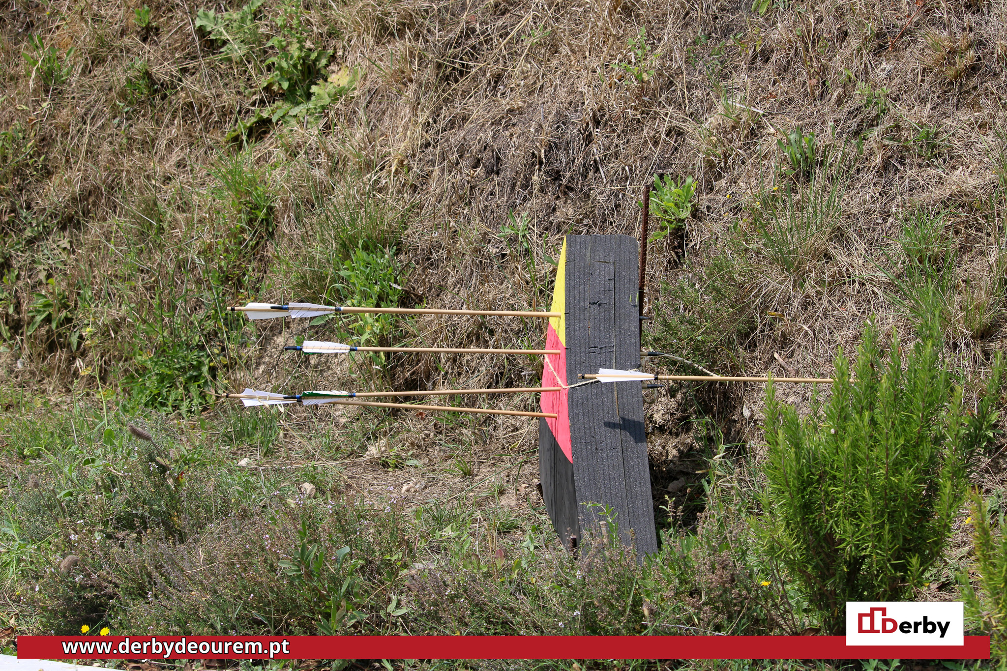 2023.06.18-tiro-com-arco-rota-dos-castelos-ourem-juventude-ouriense-17 Centena e meia de arqueiros portugueses e espanhóis de mira afinada em pleno Pinhal do Rei