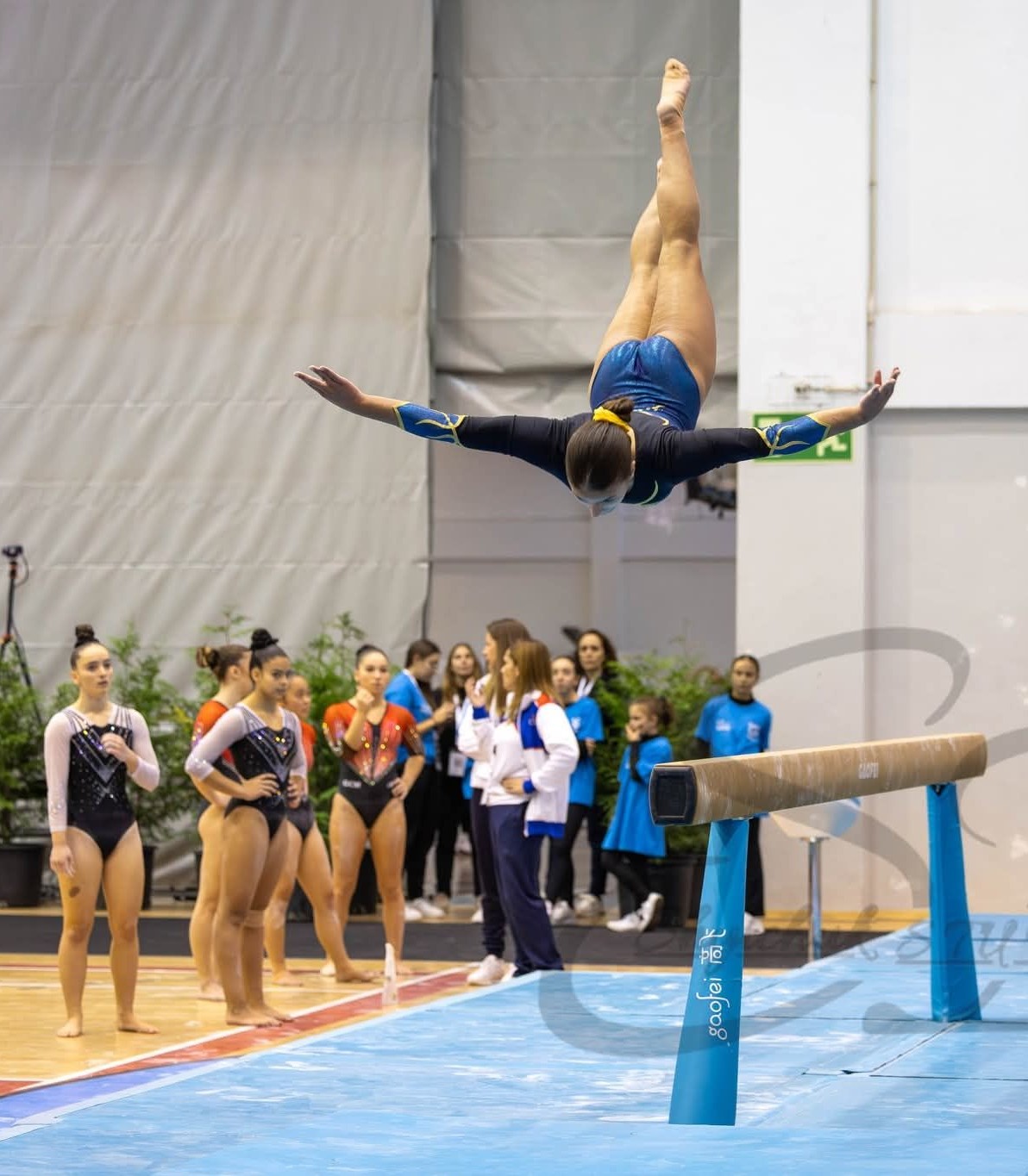 Acrobatikdays-3 Home